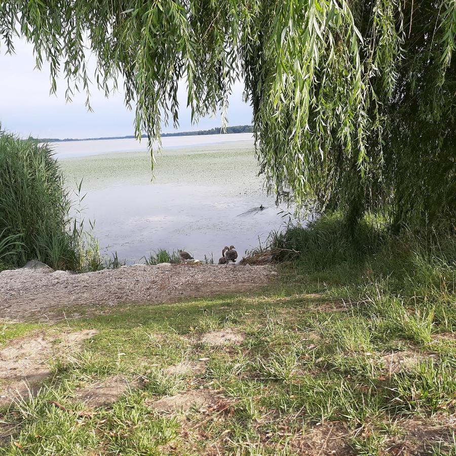 Haus Jeremias Therme Zalakaros Zewnętrze zdjęcie